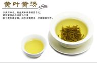 黄茶百科：品味中国传统名茶